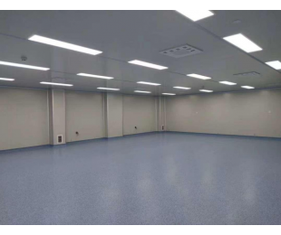 耒阳湘乡埃普特医疗有限公司支架车间洁净工程2200m²